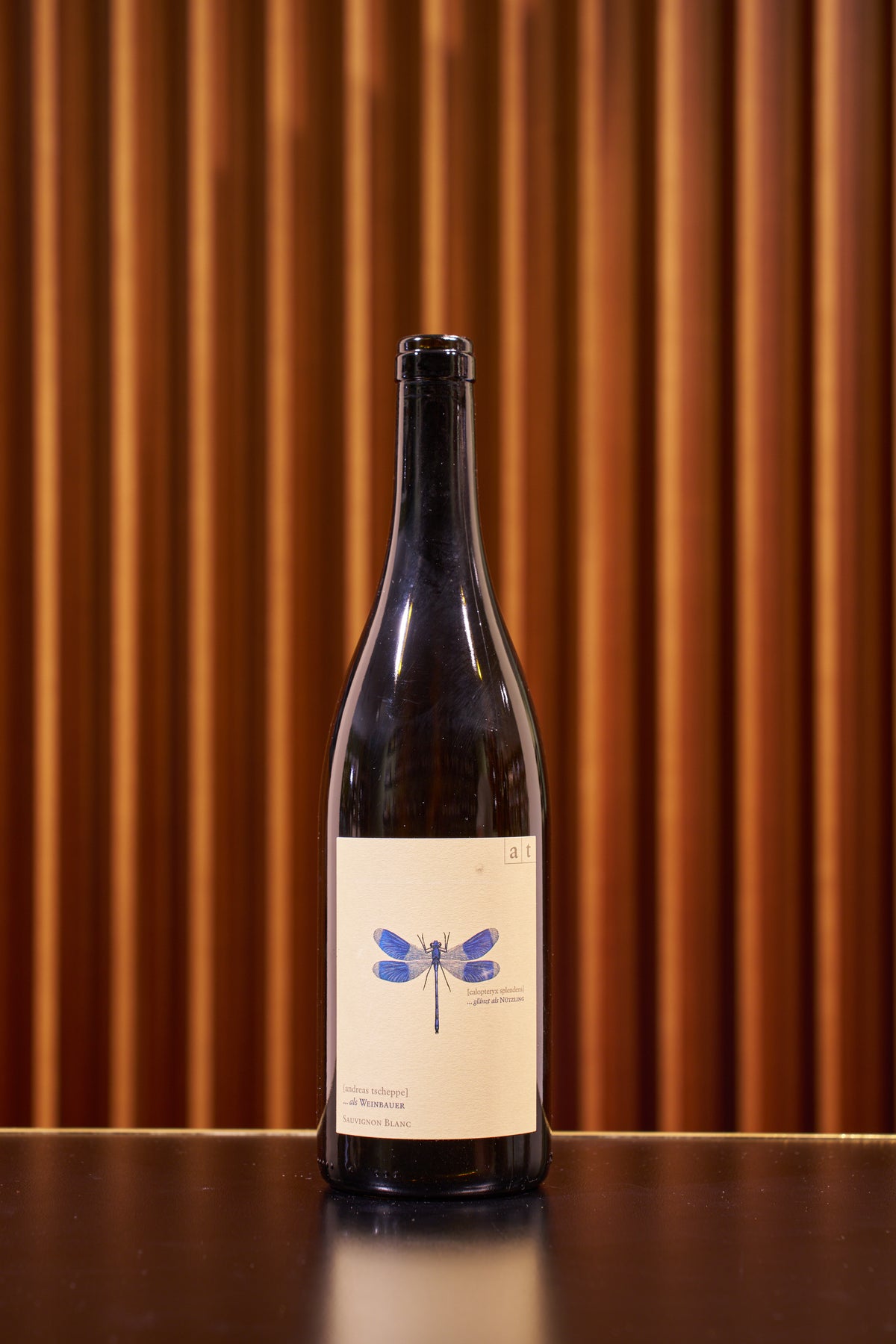 Andreas Tscheppe – blaue Libelle 2024 (Südsteiermark)