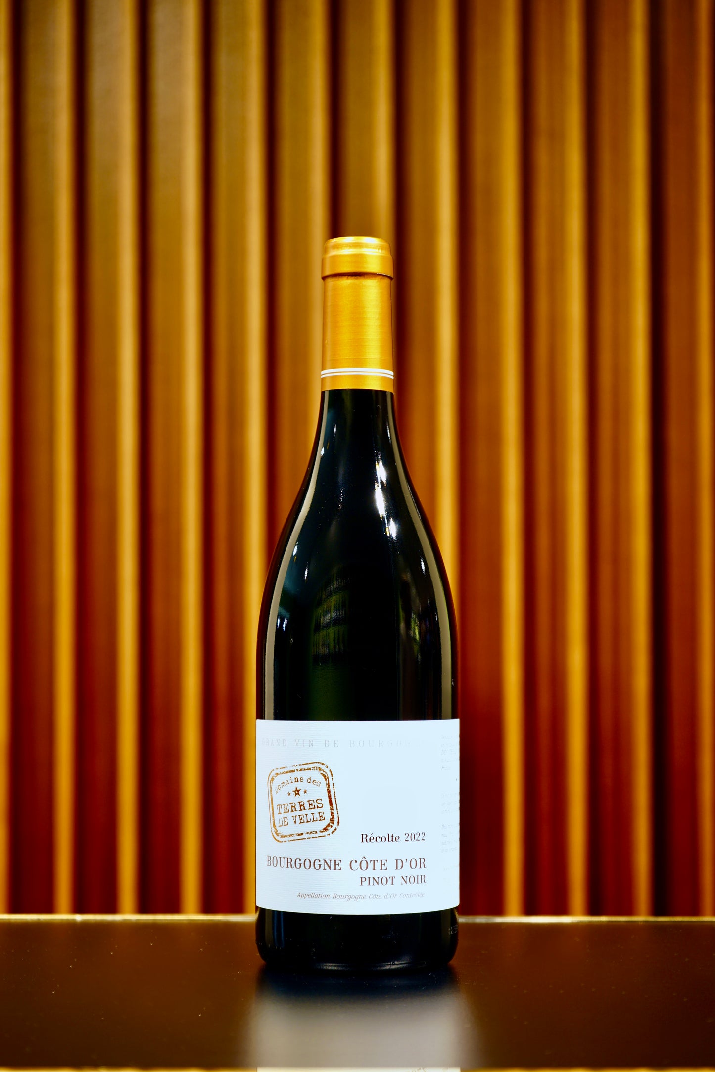 2022 Côte d‘Or Pinot Noir, Terres de Velle, Bourgogne