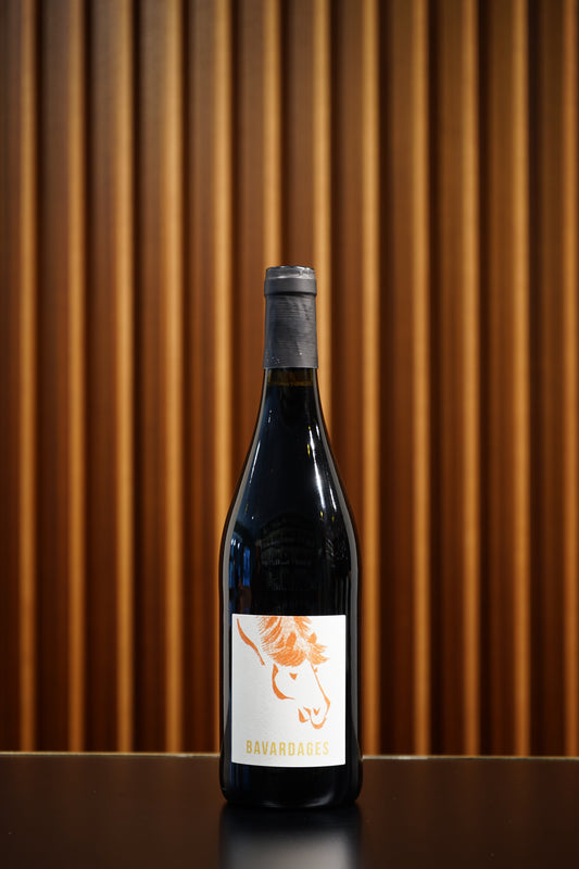 2024 Bavardages Saumur-Champigny, Jeanne Germain & Florent Bouvet, Loire