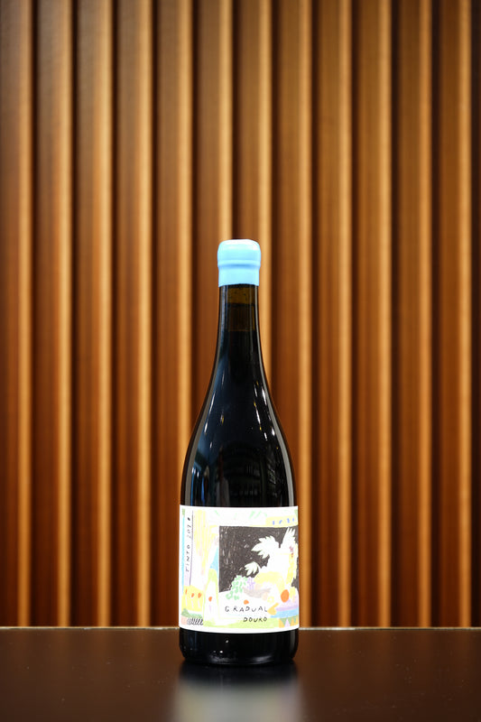 2020 Gradual B-Side Tinto, Quinta da Costa do Pinhão, Douro