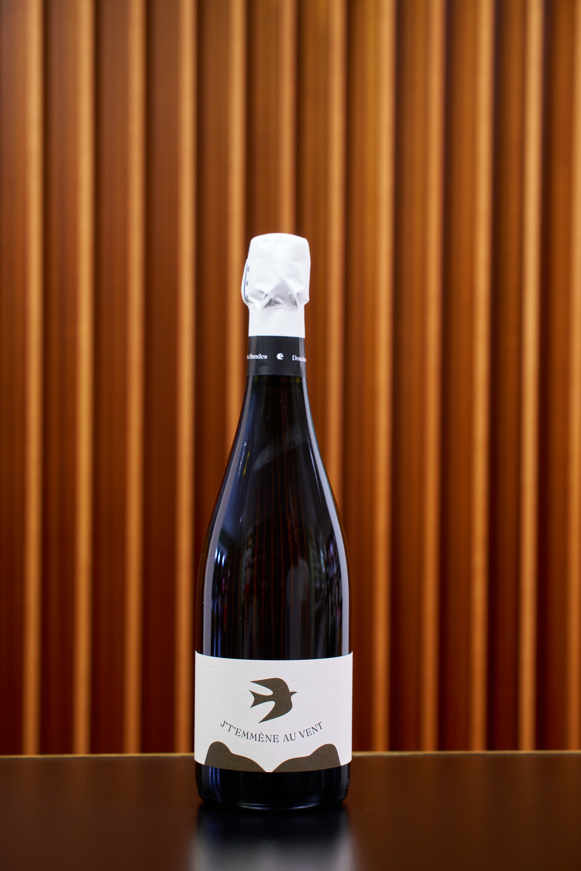 2019 J't'emmène au vent Blanc de Noir, Domaine des Arondes, Champagne