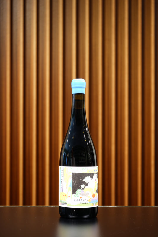 2020 Gradual B-Side Tinto, Quinta da Costa do Pinhão, Douro