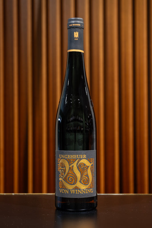 2020 Riesling Forster Ungeheuer GG, Weingut von Winning, Pfalz