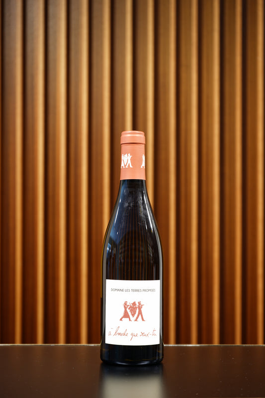 2025 A bouche que veux tu blanc, Domaine les Terres Promises, Provence