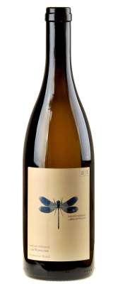 Andreas Tscheppe – blaue Libelle 2024 (Südsteiermark)